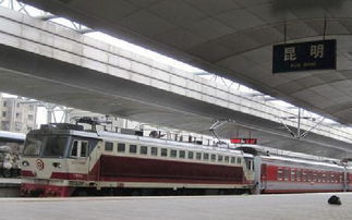 新華網云南 熱點掃描