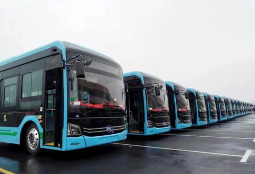 又一批氫燃料電池客車投放六安