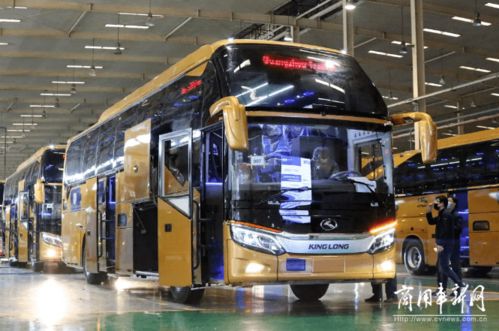 聚焦 激流勇進(jìn)譜新篇 金龍客車曬出2020上半年海外 成績單