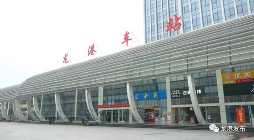 春運第一天 龍港客運中心全力保出行