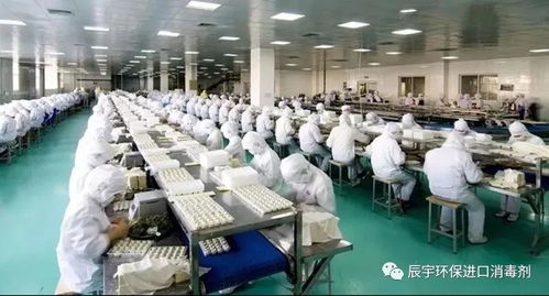 如何解決食品廠霉菌孢子超標(biāo)問題