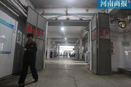 揭秘鄭客洗滌廠 工人平均年齡48.5歲,春運期間日洗16噸床單被罩