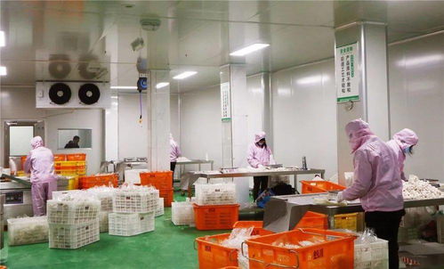 從同安到赤錫,永泰這個(gè)農(nóng)產(chǎn)品加工廠越做越大