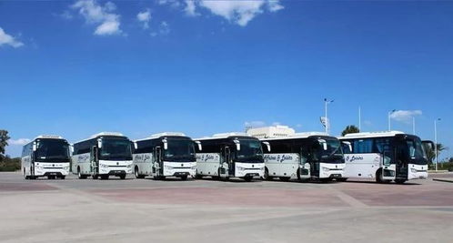 突尼斯市街上行駛的中國產金龍客車,超贊