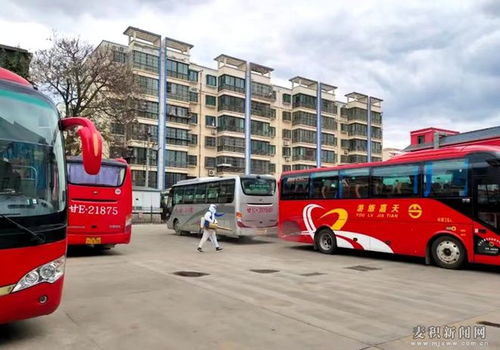 麥積汽車站區內客運路線恢復運營 圖