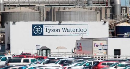 美國食品或面臨斷供危機(jī) 多家肉類加工廠關(guān)閉 近千人確診