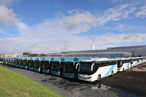 湖南省重點(diǎn)項(xiàng)目巡禮28 常德中車 打造世界新能源客車標(biāo)桿工廠