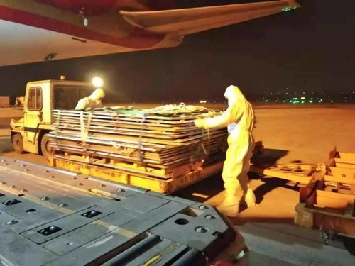 合肥新橋機場重要發布 暫無進口冷鏈食品運輸