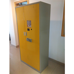 客運站行李柜、廣州行李柜、強固(在線咨詢)_庫存安全防護產品_第一槍