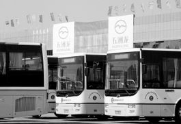 五洲龍 寒冬里感受春天