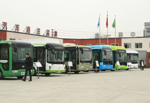 中植一客助力 花開龍泉. 交 聚車城 交流活動圓滿召開