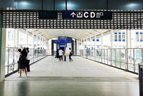 7月起,武漢這個客運站關停,新的坐車方式都為你打探好了